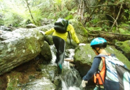20150830_6687.jpg