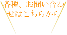 活動レポート